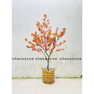 Cây bạch đàn lá vàng giả - hằng decor