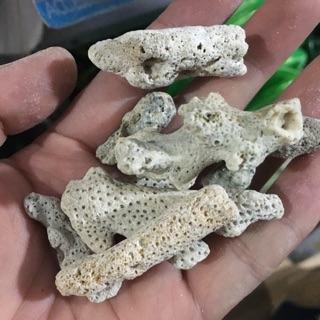 San hô vụn (3 kg) - Vật liệu lọc cho hồ cá