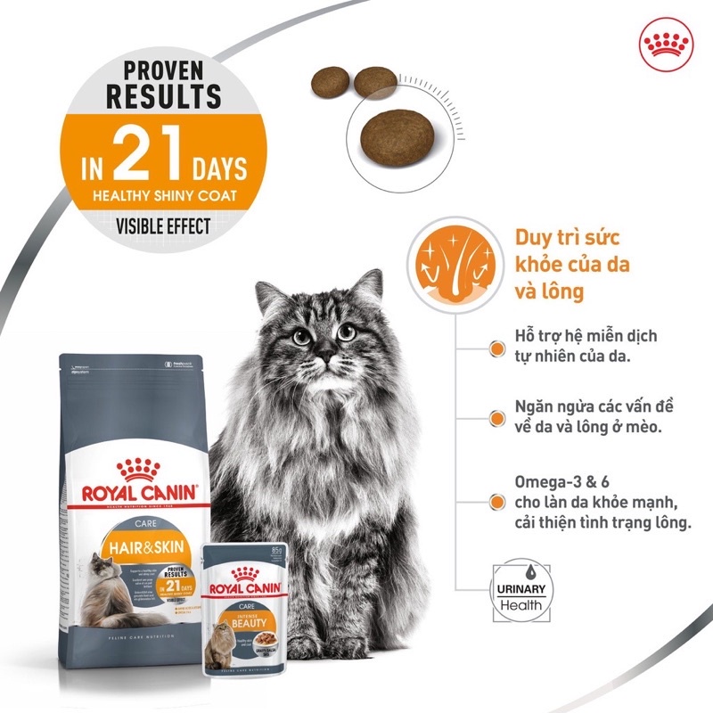 Tổng Hợp Các Sản Phẩm Royal Canin Cho Mèo