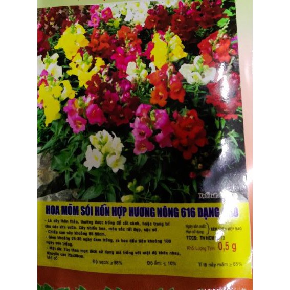 HẠT GIỐNG HOA MÕM SÓI NHIỀU MÀU 616 CAO - GÓI 0,5 GRAM