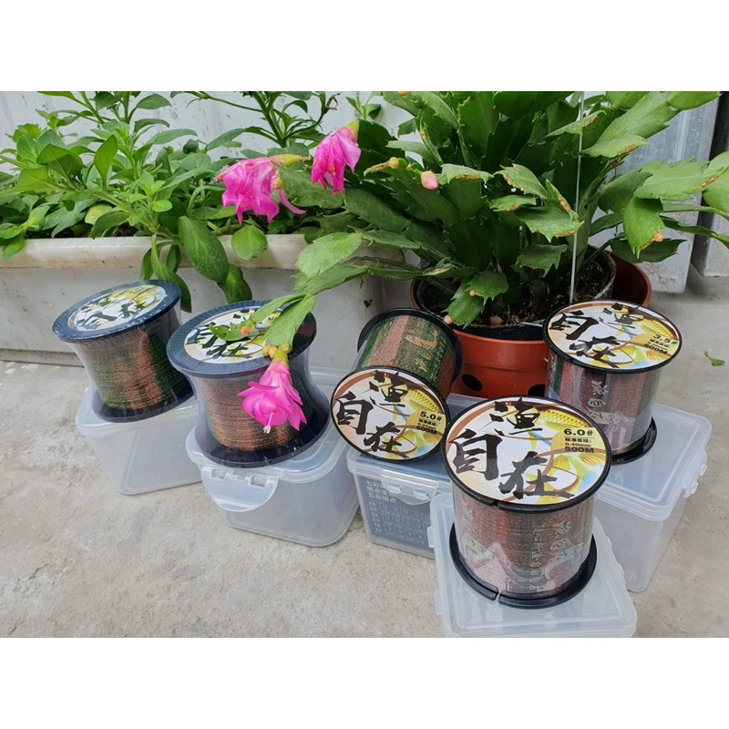 Cước 3D - Nhật - chuyên chép - dây chuyên săn hàng