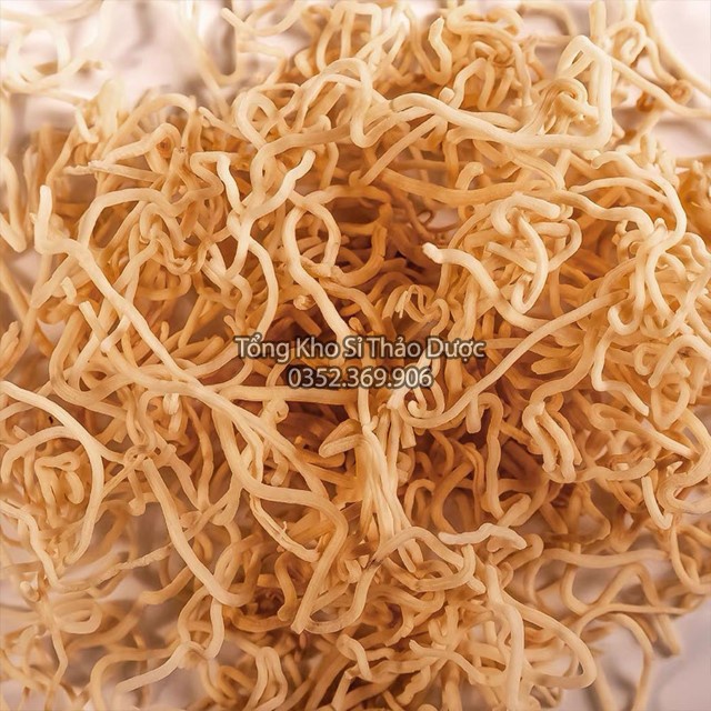 Đăng Tâm Thảo 100g (Cỏ Bấc Đèn)
