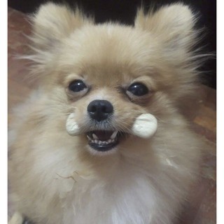 Xương Daily Dental