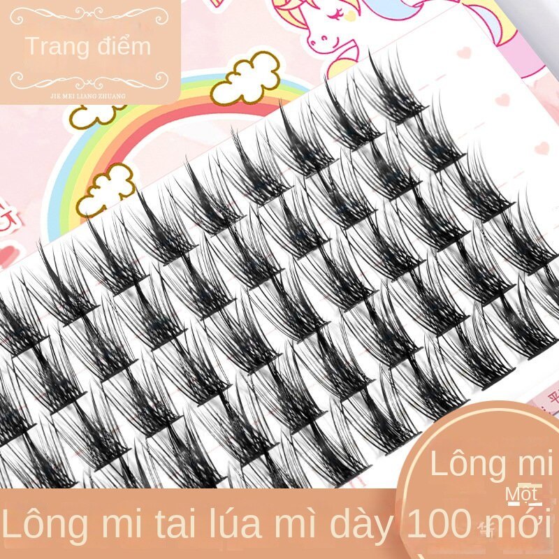 Lông Mi Giả Bằng Lúa Mạch Dày Dặn Trang Điểm Tự Nhiên Cho Nữ