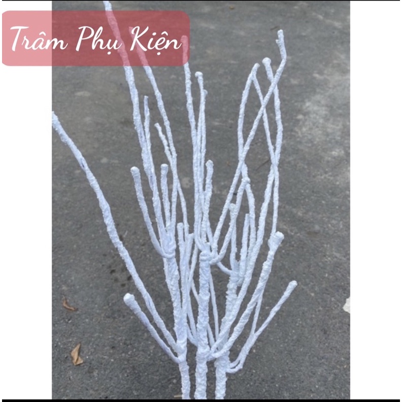 10 cành tuyết trắng, Hoa Hồng Môn trang trí lẵng hoa bó hoa