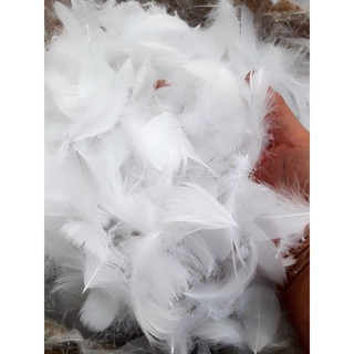 25k / bịch / 200c màu trắng [ có 16 màu ] lông vũ lông gà giá rẻ