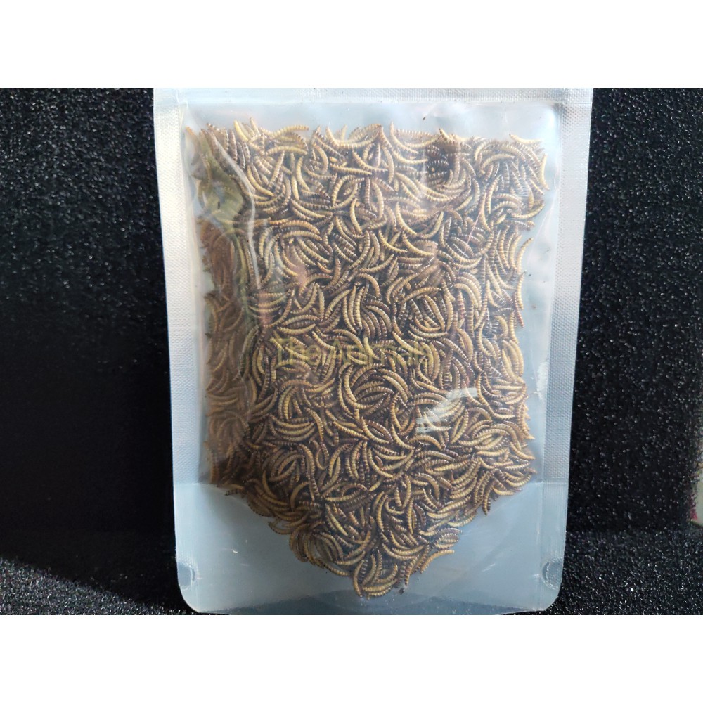 [Mã 159FMCGSALE giảm 8% đơn 500K] Sâu Mini Worm sấy thơm cho chim, gà, cá, hamster, sóc, nhím,... - Sâu gạo(50gr- 100gr)