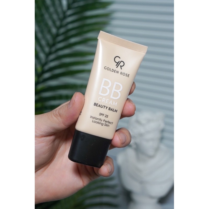 GOLDEN ROSE LÓT CHE PHỦ CAO