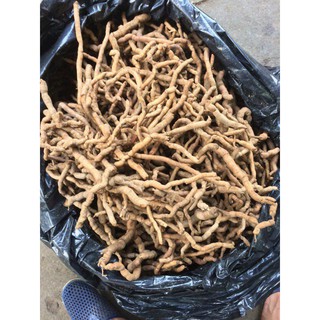 BA Kích Tím Rừng
