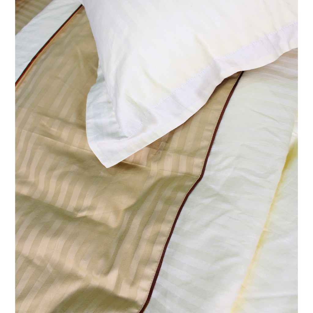 Bộ chăn ga gối drap giường màu nâu kem cotton satin Ai Cập Julia 542