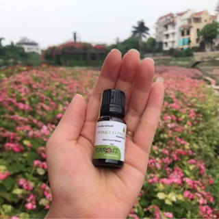Tinh dầu vỏ bưởi Karose