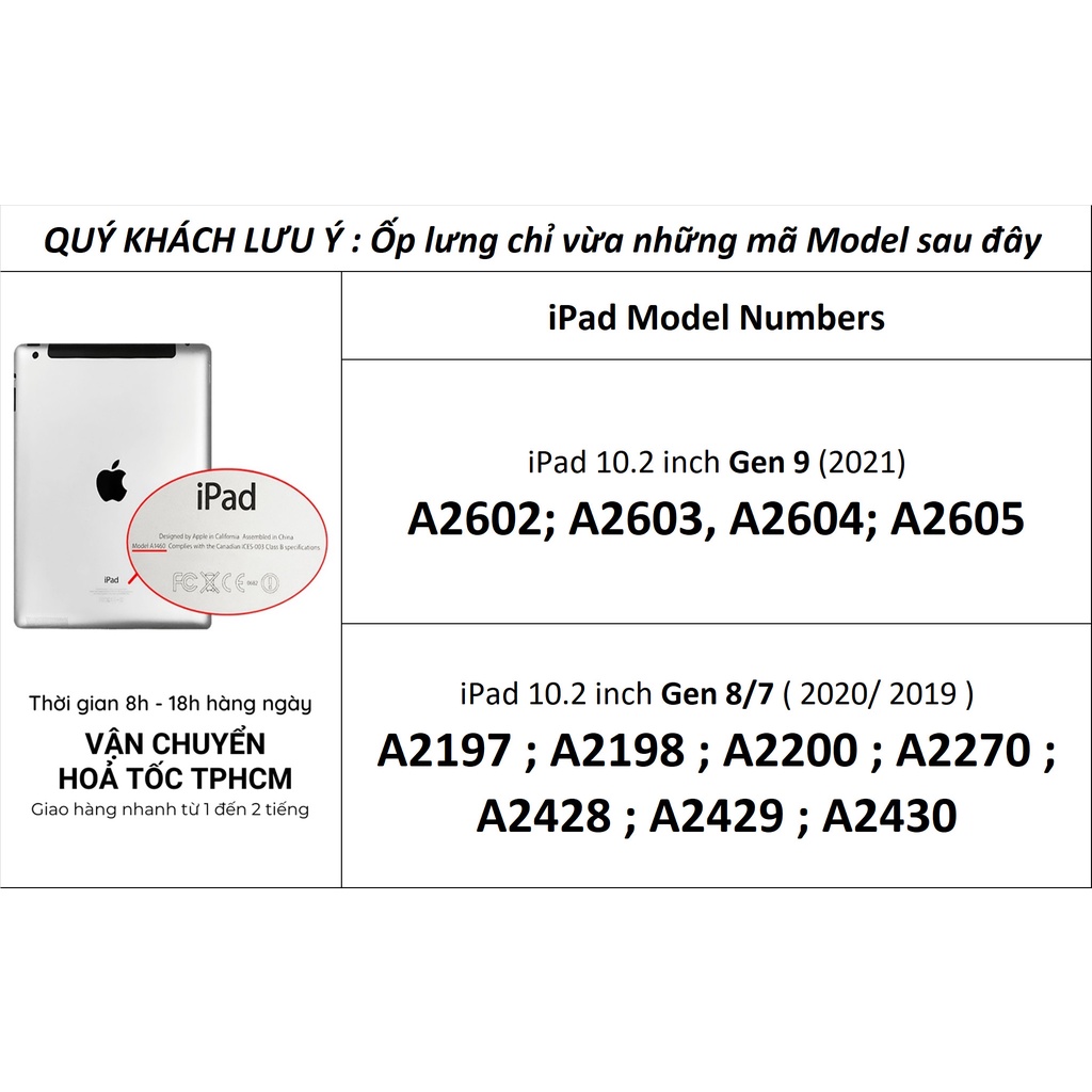 [Hỏa Tốc HCM] Ốp lưng XUNDD iPad 10.2 inch / iPad Gen 9/8/7 (BEETLE SERIES) Chống shock, Mặt lưng trong, Viền TPU - Đen
