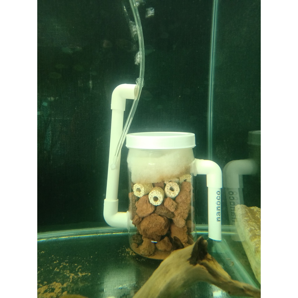 LỌC BIO VI SINH TỰ CHẾ- BETTA NINJA 99