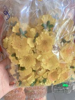 Hoa mai (đào) rời
