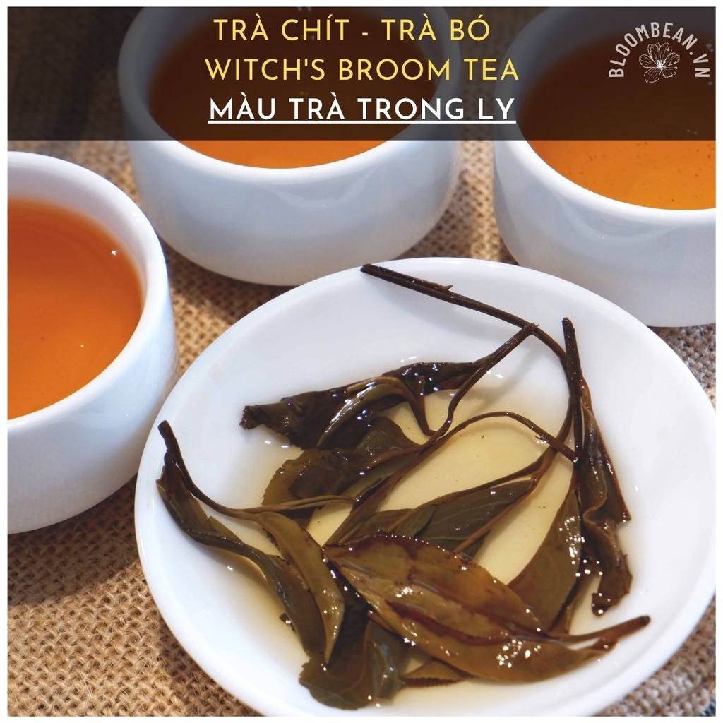 Trà Chít  -  Trà Shan Tuyết hữu cơ - Bloombean