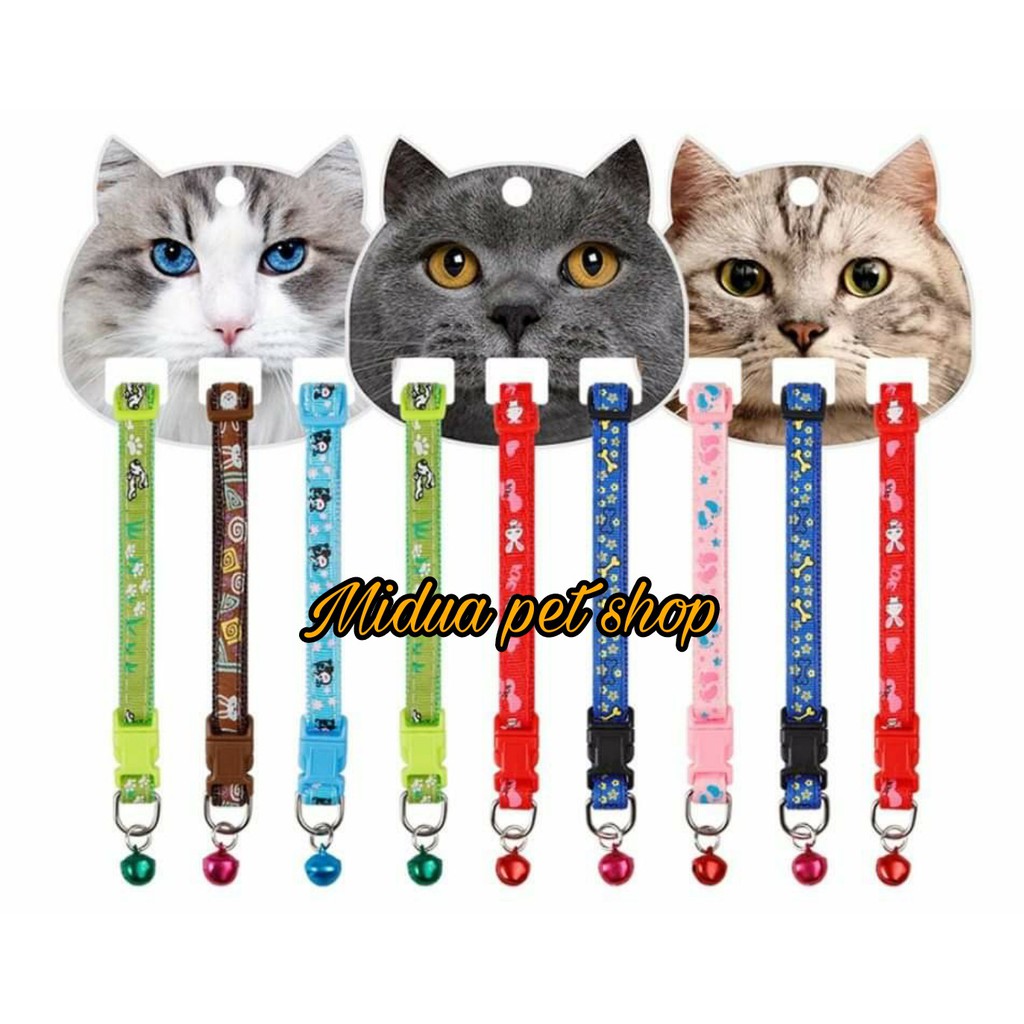 Vòng cổ cho chó mèo dưới 10kg