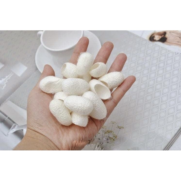 Kén tằm The Cocoon Lam Dong 30pcs | BigBuy360 - bigbuy360.vn