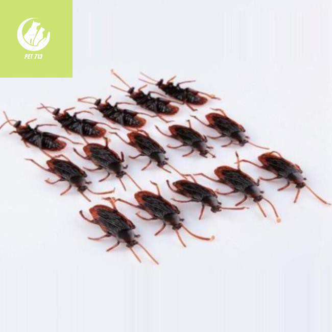 Đồ chơi con gián cho chó mèo xả stress