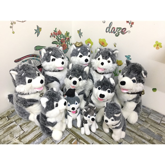 Set gấu husky 11 con size 20-40cm