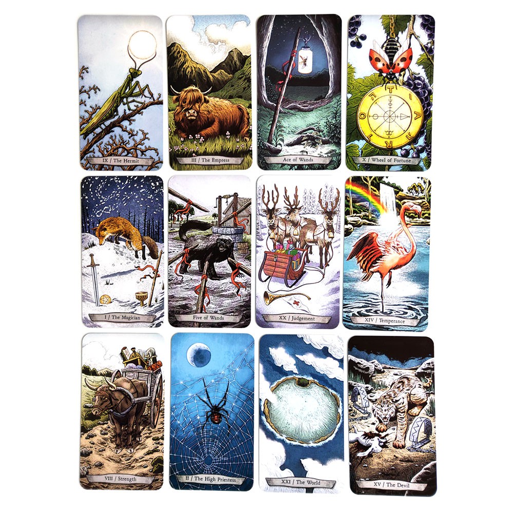 Bộ 78 thẻ bài tarot hình động vật (Mới)