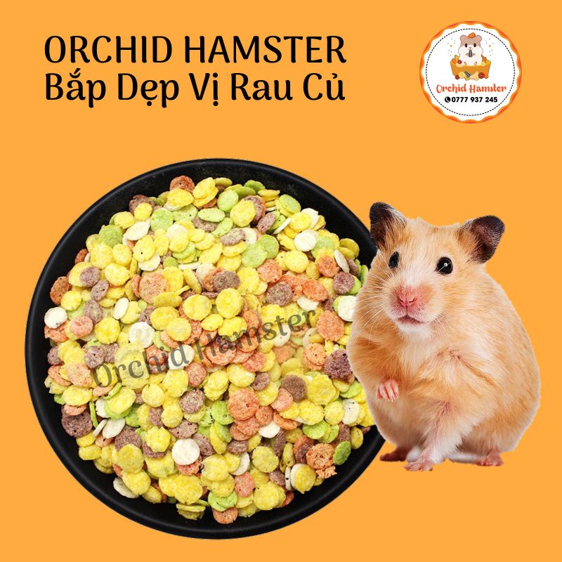 Bắp Dẹp Cho Hamster