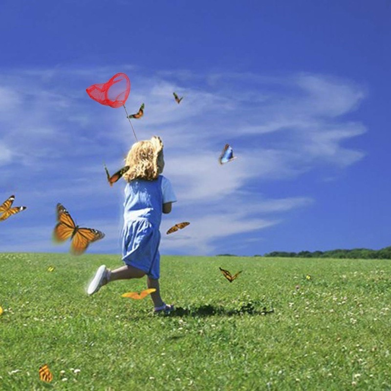 Vợt vớt cả cảnh inox rút gọn tiện dụng