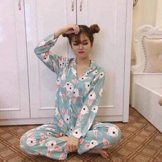 Đồ bộ tay dài