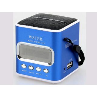 Loa Bluetooth WS215