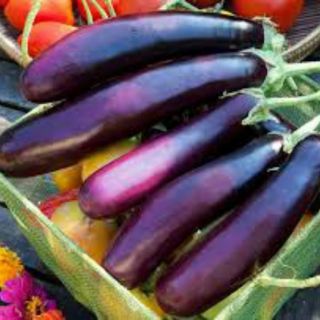 Hạt Giống Cà Tím Dễ Trồng, Năng Suất Cao