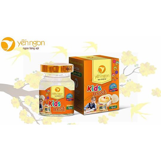 Yến Ngon trẻ em KID NEST