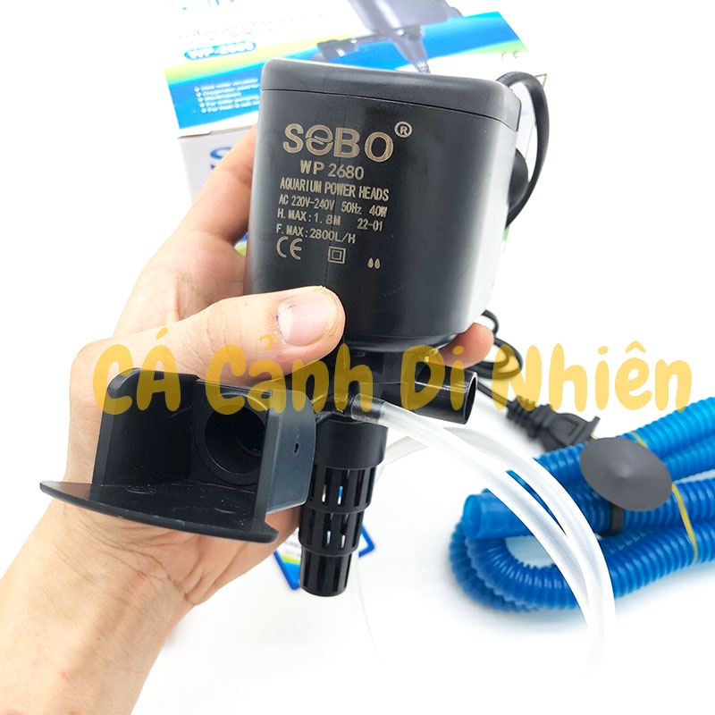 Máy bơm lọc nước hồ cá cảnh 40W SOBO WP-2680 máy bơm chìm bể cá sobo 2680