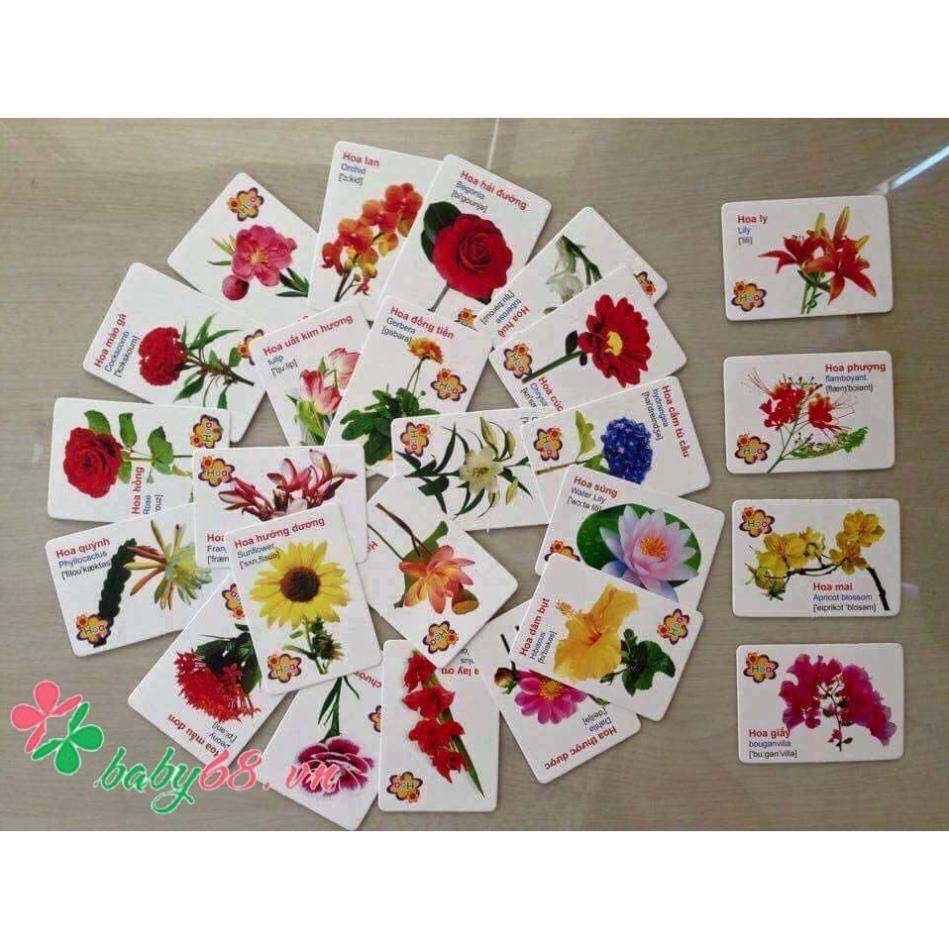 Bộ thẻ học thông minh 16 chủ đề cho bé - Bộ thẻ học flashcard 16 chủ đề 416 thẻ song ngữ Anh Việt