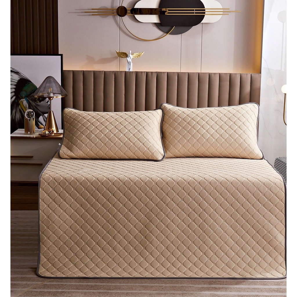 Chiếu Điều Hoà Cao Su Non Tencel Mát Lạnh , Chiếu Cao Su Điều Hoà Loại 1 nặng trên 2kg Mẫu Mới 2022 (tặng kèm 2 vỏ gối)