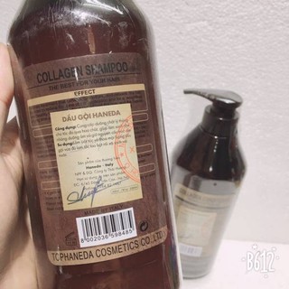 Cặp dầu gội xả