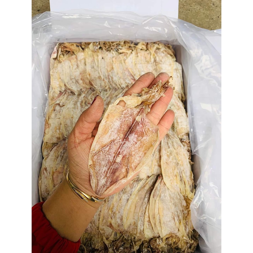 1 con mực size to hàng dày mình, ngọt thịt y hình