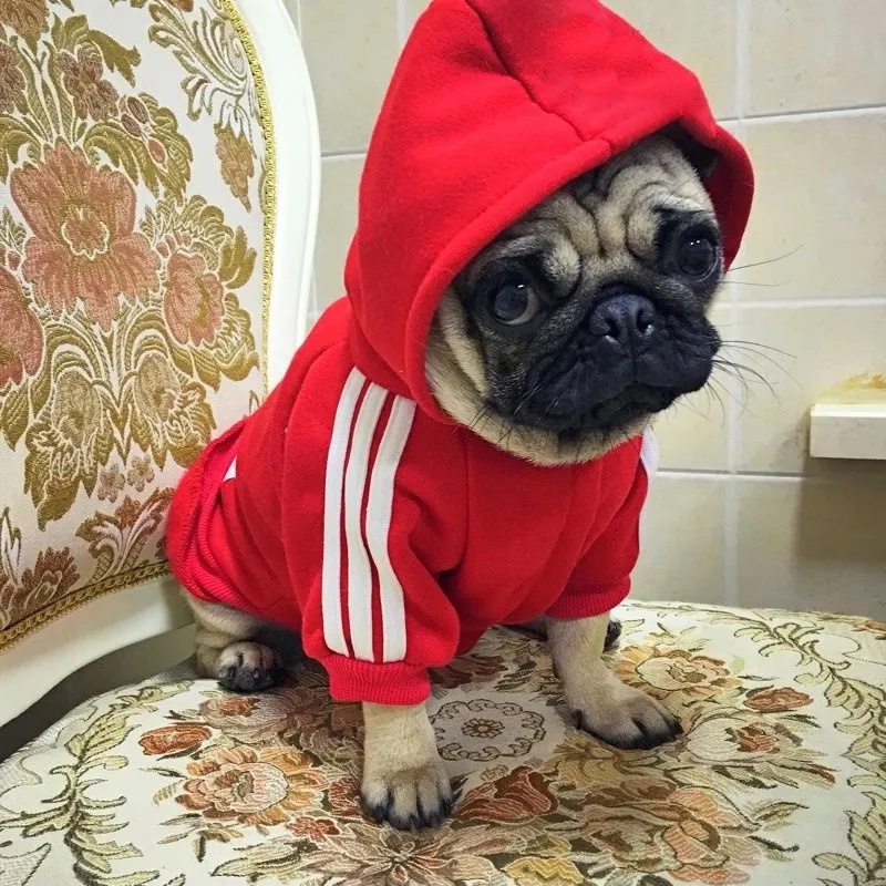 Áo Hoodie MùA Đông ThờI Trang Cho Thú Cưng