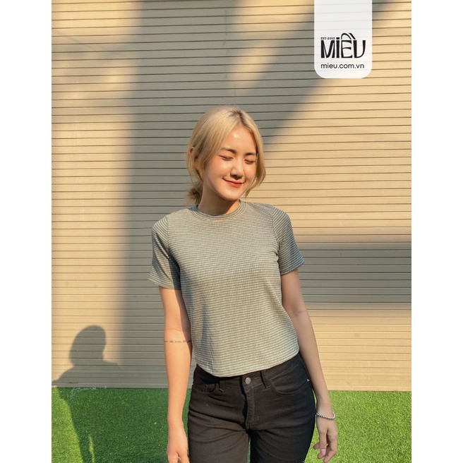 MIỀU_ÁO THUN GÂN SỌC DORY