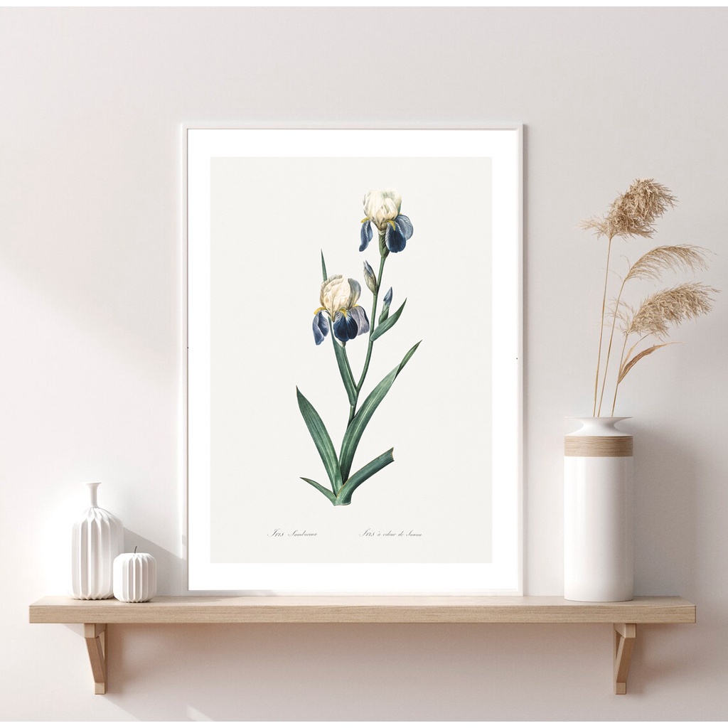 Set 3 tranh trang trí phòng khách chủ đề thiên nhiên X556