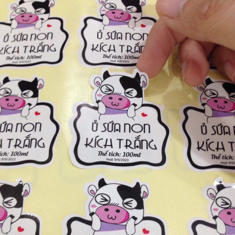 combo 10 bộ tem ủ sữa non kích trắng