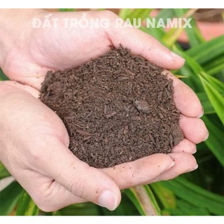 1KG Đất Sạch Trồng Rau