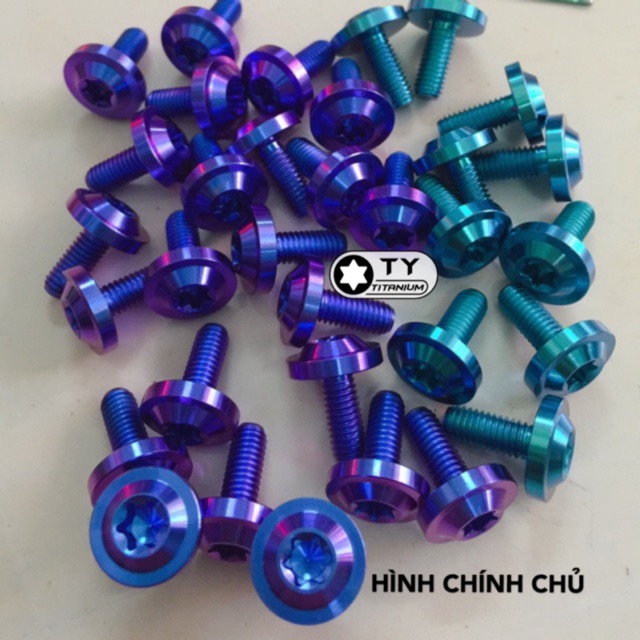 Ốc Titan 6li15 gắn Dàn áo Dè Ốp Pô Dù to dày chuẩn GR5 - TY Racing ( 1 con )