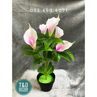 Cây hoa rum  trắng hồng 40cm - Cây giả decor