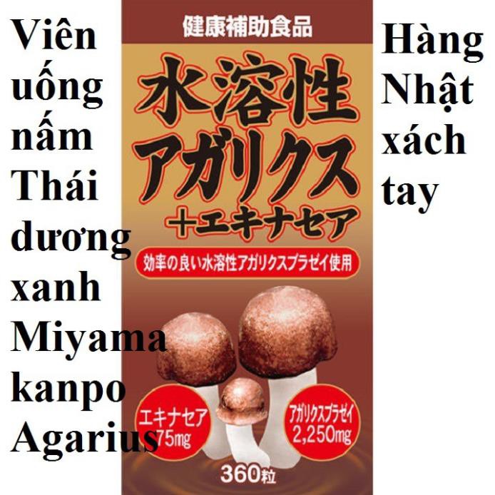 Nấm thái dương Agaricus chiết xuất Beta glucan và hoa cúc Echinacea Nhật bản 360v Phòng ung thư tăng cường hệ miễn dịch