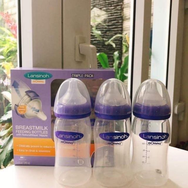  Set 3 bình sữa Lansinoh 160ml và 240ml