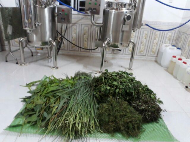 Dầu Chống Say Tàu Xe Nguyên Chất giúp tinh thần thoải mái, chống mệt mỏi, buồn nôn, chống say tàu xe, freeship NuCare