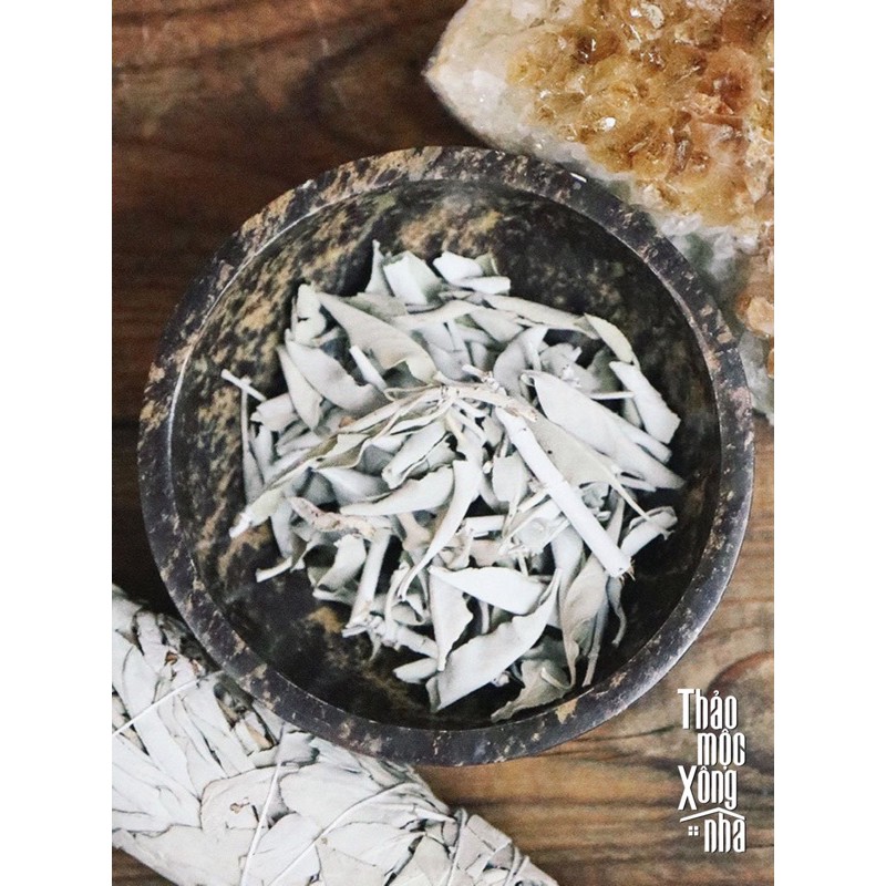 White Sage Xô Trắng Lá 20g Thảo Mộc Xông Nhà