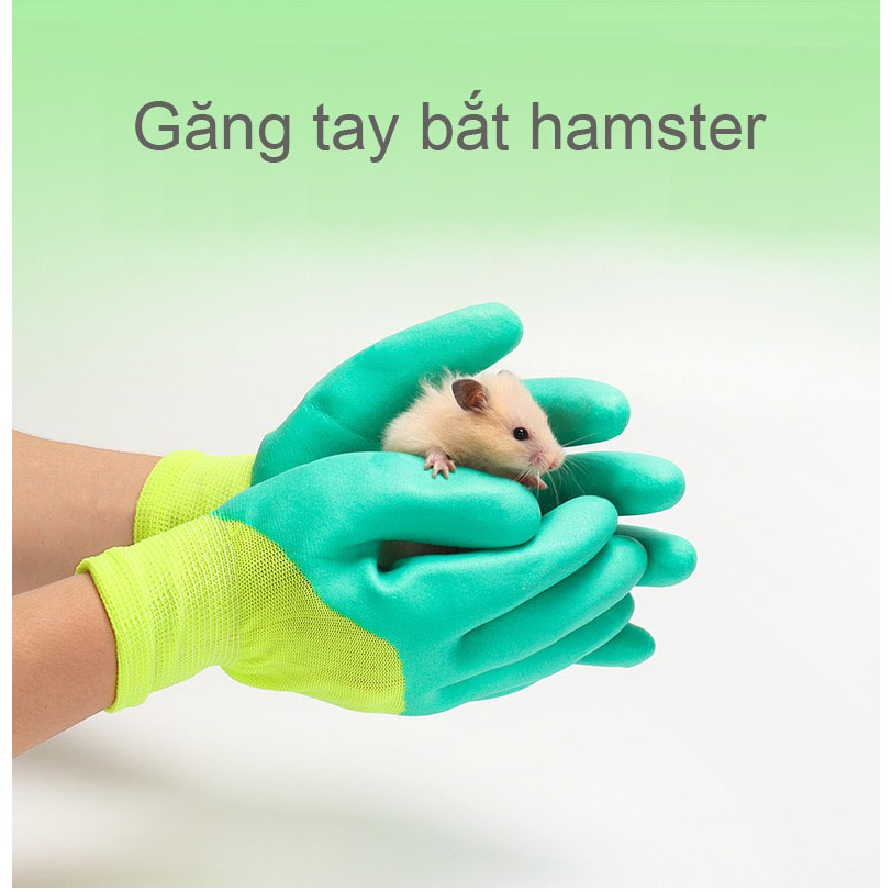 Găng tay bắt hamster