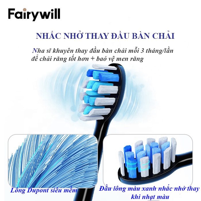 Bàn chải đánh răng điện Fairywill P11 cao cấp từ Đức tặng kèm 8 đầu bàn chải dùng trong 2 năm