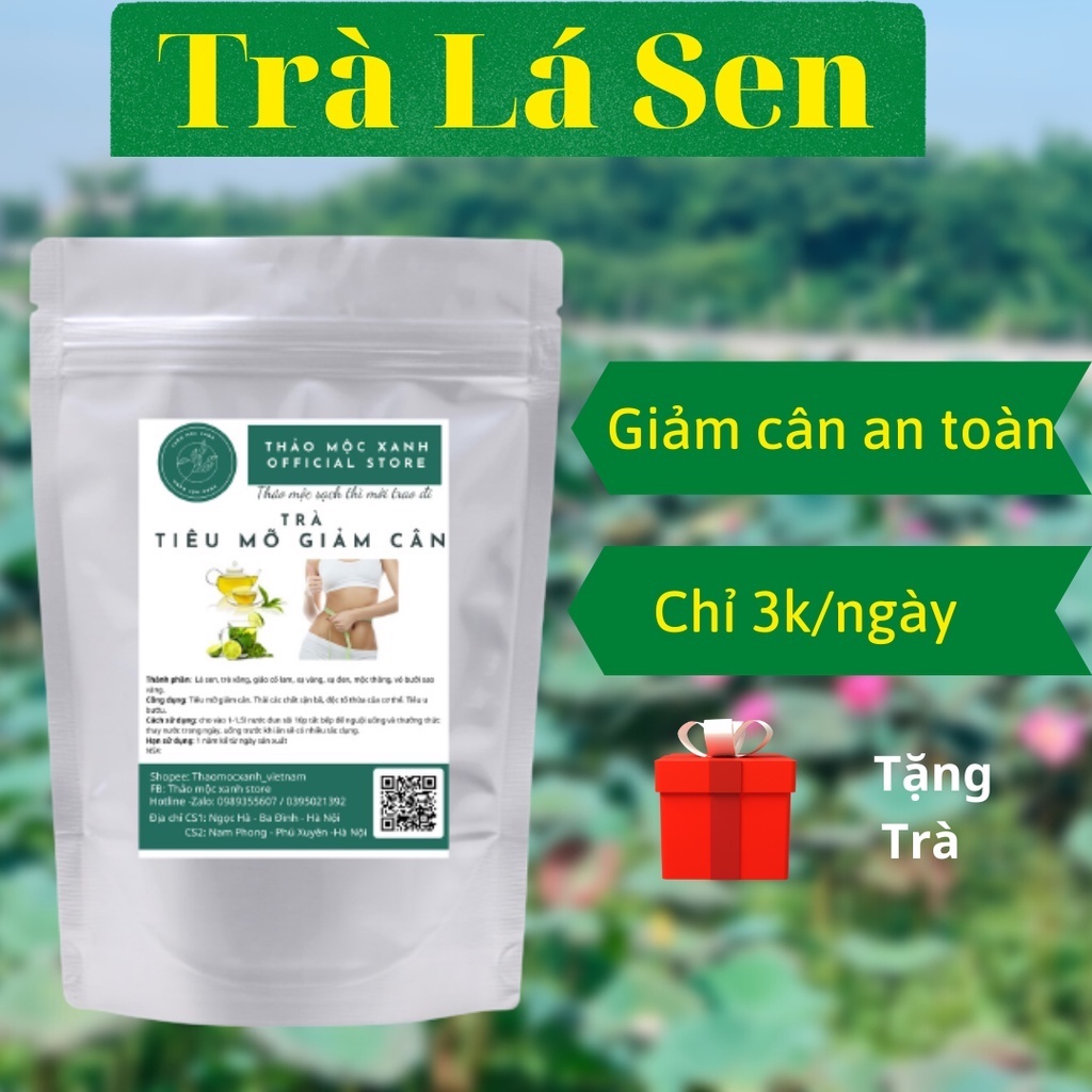 Thảo Dược Giảm Mỡ Máu, Gan Nhiễm Mỡ, điều hòa Đường Huyết cho người tiểu đường - Giảo Cổ Lam, Lá Sen, Thìa Canh, Cỏ Ngọt | BigBuy360 - bigbuy360.vn