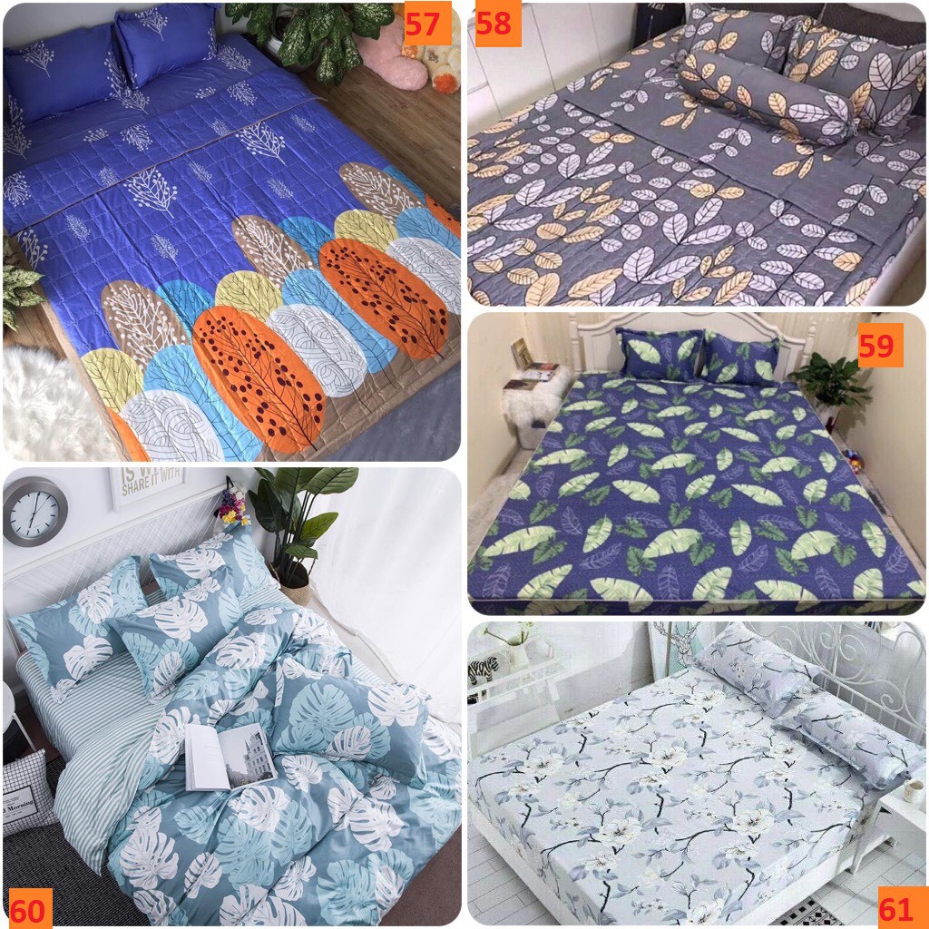 Ga trải giường poly cotton M4 M6 | BigBuy360 - bigbuy360.vn